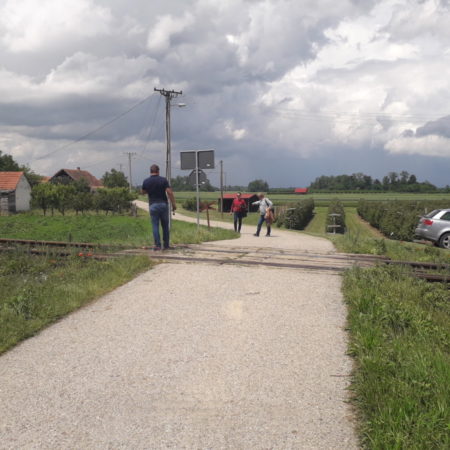 Signaling -Stitar PP1