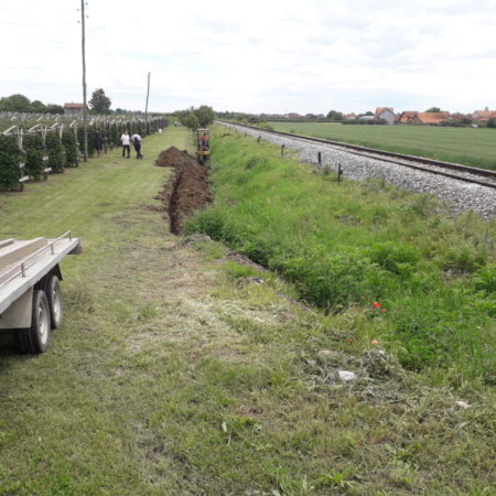 Signaling -Stitar PP2